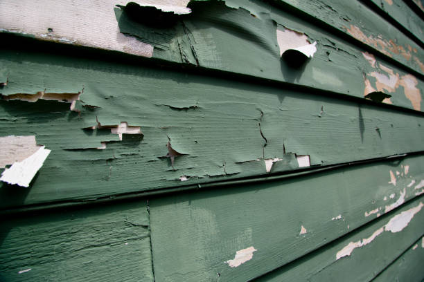 Best Siding Painting and Refinishing  in Wellington, TX