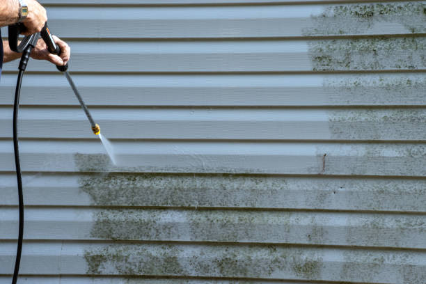 Best Storm Damage Siding Repair  in Wellington, TX